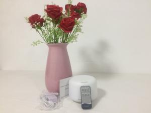 Wholesale 24Hz 300ml Ultrasonic Essential Oil Diffuser For Bedroom , Living Room from china suppliers