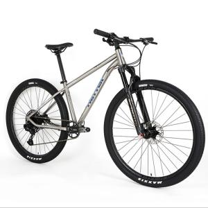 Wholesale 148mm Boost Titanium 29er Hardtail Mountain Bike SRAM SX EAGLE 12 Speed from china suppliers