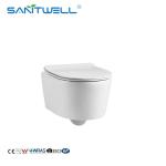 Hot Selling SWA625 Luxury Sanitary Ware Product Washdown Rimless Flushing Wall