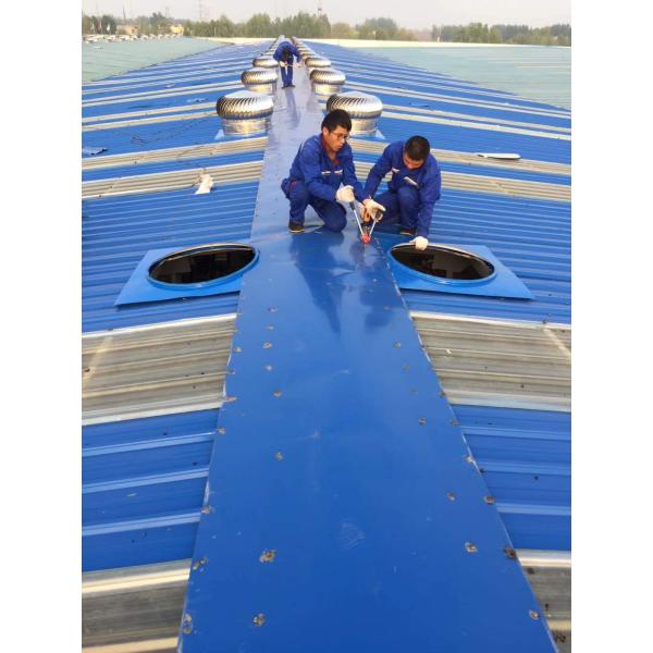 Source Factory Stainless Steel Roof Ventilating Fan Without Power Wind Drive Poultry Pig Farm Turbine Roof Exhaust Fans