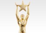 260mm Height Custom Metal Trophies , Sports Competition Custom Trophy Awards
