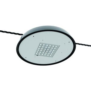 Wholesale 130LM/W T2 IP66 Outdoor LED Landscape Lights Catenary Mounting from china suppliers