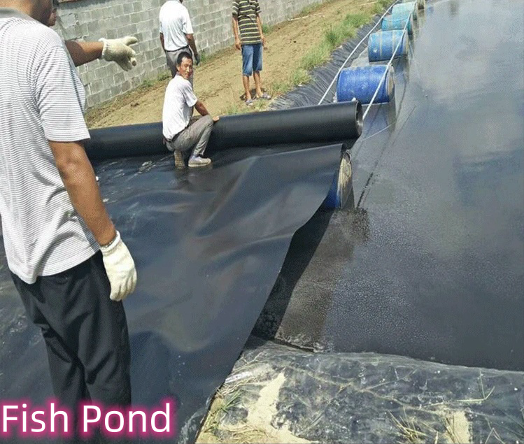 Waterproof HDPE Geomembrane Durable Solution for Fish Ponds and Sewage Treatment Plants