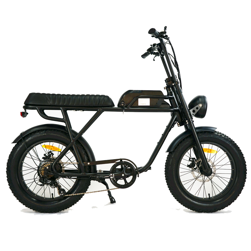 73 eBike Fat Tire Electric Bike E Bicycle with Range per Power 31 60 km and Disc Brake