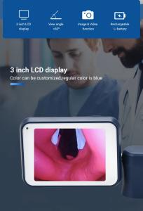 Wholesale Veterinary flexible Bronchoscopy Fiber Optic Anesthesia video laryngoscopy airway pediatric stainless Miller Macintosh from china suppliers