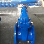 Resilent seated rising stem gate valve
