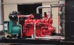 100kva 112.5kva 125kva 150kva Home Standby Generator with and IP23 Protection