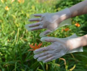Wholesale Ambidextrous Food Grade Disposable TPE Gloves from china suppliers