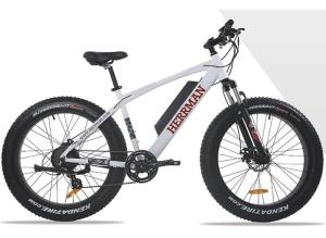 Wholesale 48V 500W 8Fun Brushless Motor Mountain Electric Bicycle MTB Electric Powered Bike with LCD Display from china suppliers