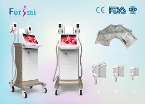 Wholesale freezing belly fat removal by laser liposuction uk 2 handles working together -15 Celsius low from china suppliers