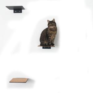 Wholesale Modern Metal Cat Room Wall Seat with Stamping Parts Installation Wall Mount Pre Drill from china suppliers