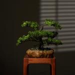 OEM High Imitation Artificial Landscape Trees For Airports