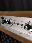 Custom Grand Tube Guitar Amp Head 100W Dumble Clone SSS Steel String Singer