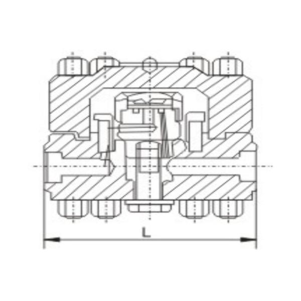 Thread Disc Type Y Strainer Valve Steam Trap Anticorrosive Carbon Steel