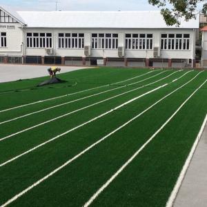 Wholesale 10mm Tennis Court Artificial Grass / Artificial Lawn Carpet OEM Acceptable Fashionable from china suppliers