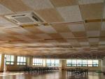 E0 Eco-Friendly Blackish Green Wood Wool Sound Acoustic Ceiling with Veneer