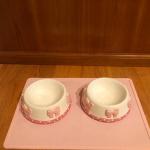 Whimsical Pink Bow Posh Cat Bowls 5" Inner Dia Ceramic Rabbit Food Bowl Ceramic