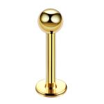 16G Surgical Steel Stud Piercing Gold Labret Lip Ear Cartilage Lip Pircing
