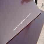 18mm Brown Film Faced Plywood, Brown film coated construction plywood, Formwork
