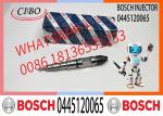 Common Rail Fuel Injector Diesel Injectors 04290988 0986435559 0445120065
