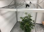 Eight Bars 360nm 1836μMol/S Quantum Board Grow Light