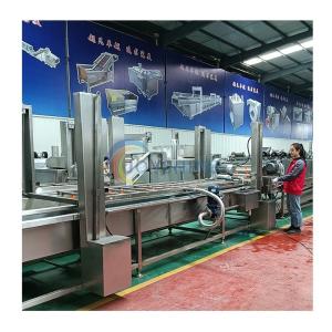Wholesale Joyshine Industrial Air Bubble SUS304 Ozone Leaf Vegetable Washing Machine for Fruits from china suppliers