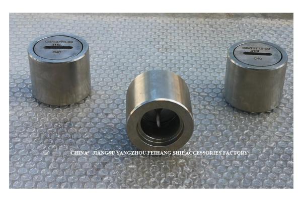 Stainless Steel Sounding Pipe Head Model A40 CB/T3778-99 Stainless Steel