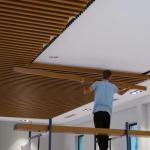 3D Design Aluminum Wall Panel Ceiling , Aluminum Acoustic Suspended Ceiling