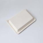 Corrugated Paper Biodegradable Pulp Molded Wine Packaging Trays
