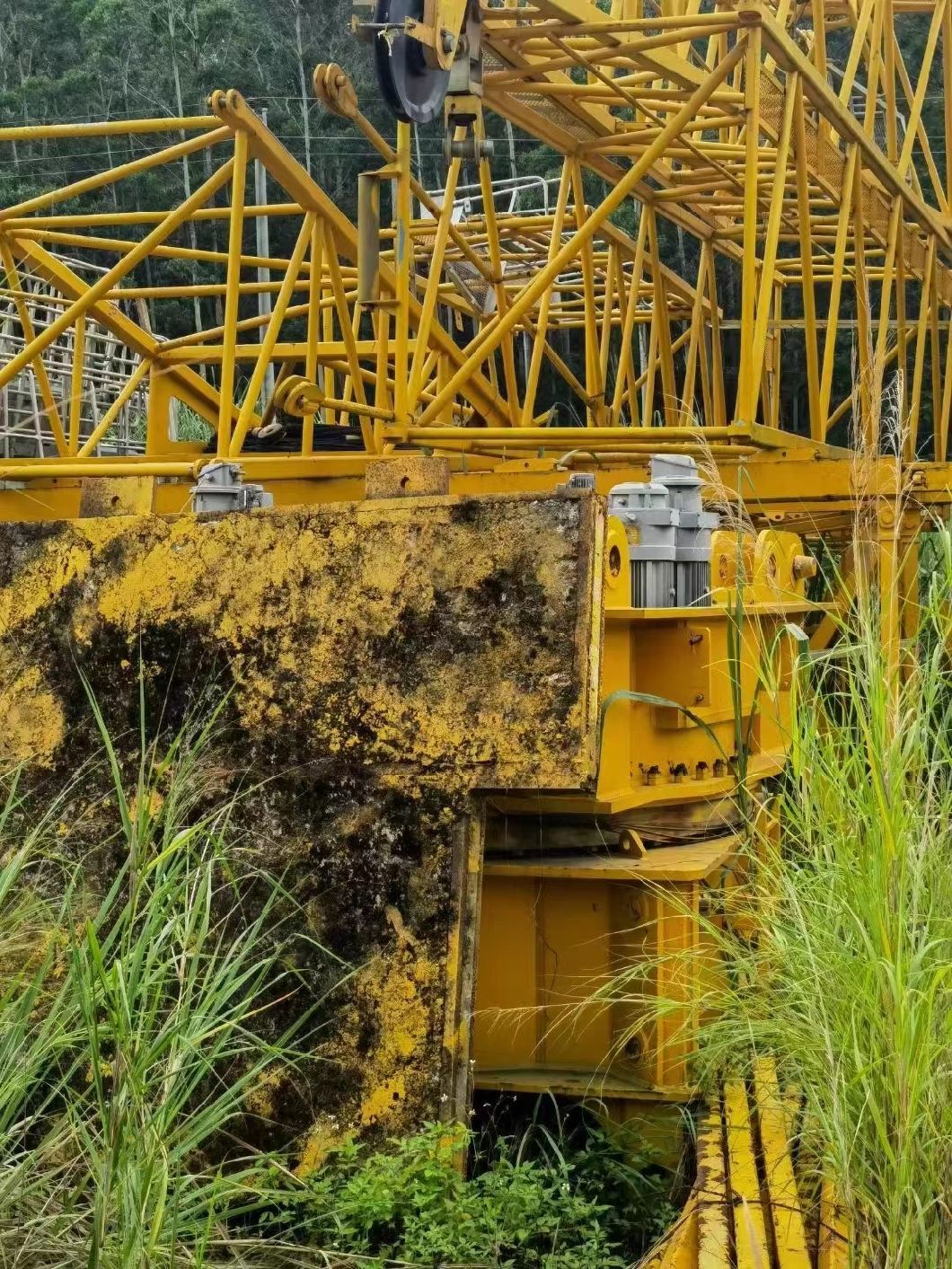 Zoomlion 2020 Used Crane 80239-25for Sale