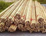 Garden Furniture Natural Bamboo Poles Stakes Straight For Garden Plant Length