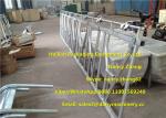 Large Farm Equipment Dairy Cows Cattle Head Lock Locking And Feeding