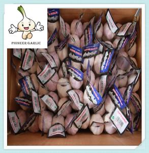 Wholesale 2016 China natural Fresh Pure white garlic fresh white garlic from china suppliers