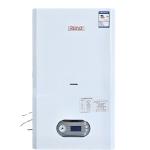Natural Gas Hot Water Heater Wall Hung LPG Instant Water Heater Tankless