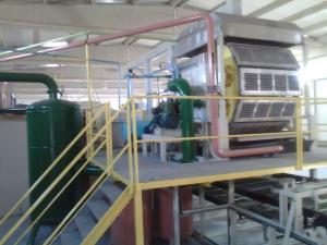 Wholesale Recycling Pulp Egg Tray Machine from china suppliers