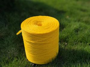 Wholesale Polypropylene Packing Banana Twine 2.5g/M in any color, yellow, blue, green, white from china suppliers