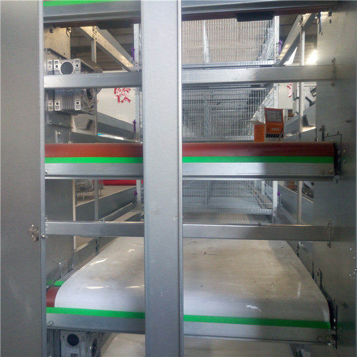 Structural Automatic Manure Removal System Powerful For Farm Manure Cleaning