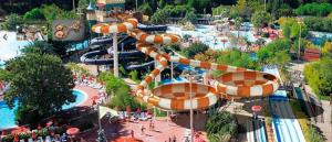 Wholesale Spray Park Equipment Fiberglass Super Bowl Water Slide for Children and Adults from china suppliers