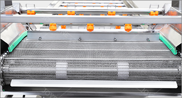 1000kg/H Large Capacity Bubble Wash Machine For Industrial Fruit And Vegetable Processing