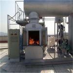 Customized Medical Waste Incinerator Clinical Waste Incinerator Stainless Steel