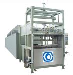 Molding Biodegradable Pulp Packaging Machine 440V Bagasse Plate Making