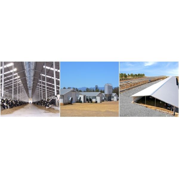 Intelligent Climate Controlled Steel Structure Poultry House Prefabricated Industrial Buildings