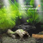 Poly Resin Wood Aquarium Decoration Items