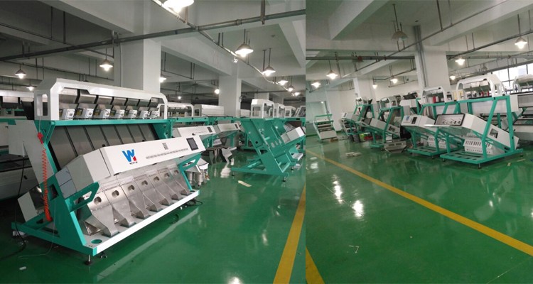 100-900KG/H Sort Machine Color for Macadamia Nut Wanlut Hazelnut