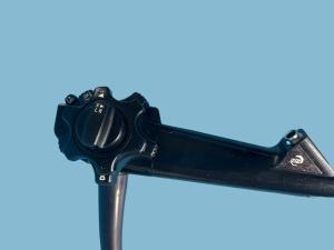 Wholesale EG-590WR Video Gastroscope Flexible Scope Standard HD Viewing Direction from china suppliers