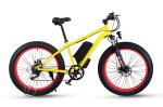 1000w Felt Motor Electric Fat Bike 30-45km/H With 26x4.0 Fat Tire