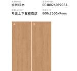 Indoor Porcelain Tiles for Dining Room Thickness 9mm Water Absorption 0.5% Level