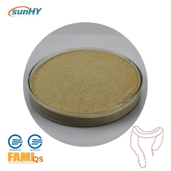 Improve Digestibility 3000u/G Heat Stable Glucose Oxidase Small Intestine