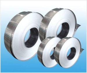 Wholesale Metal Spring Steel Strip , SS Galvanized Steel Strip SUS304L Stock Durable from china suppliers