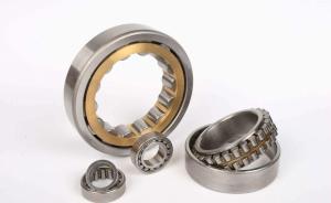 Wholesale NU202E.TVP2 Single row cylindrical roller bearings/NU202E.TVP2 bearings/ NU202E.TVP2 /NU202E.TVP2 roller bearings from china suppliers